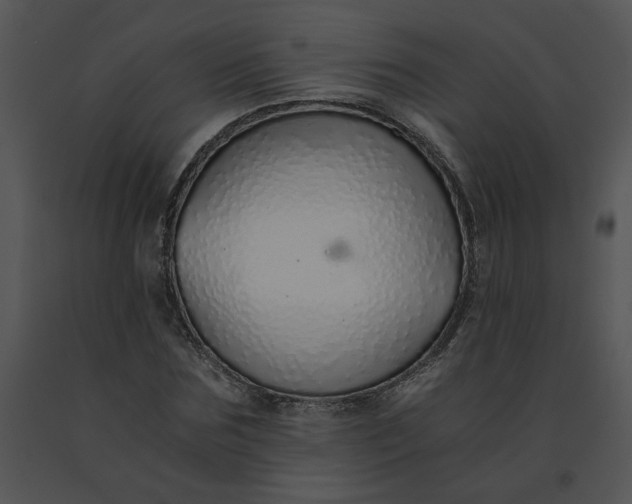 X0000091520875200708311246