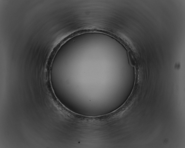 X0000091520876200708311246