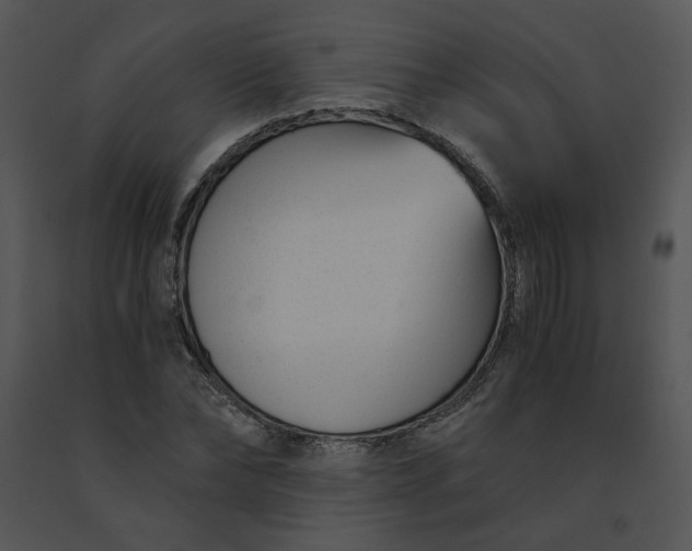 X0000091520878200708311246