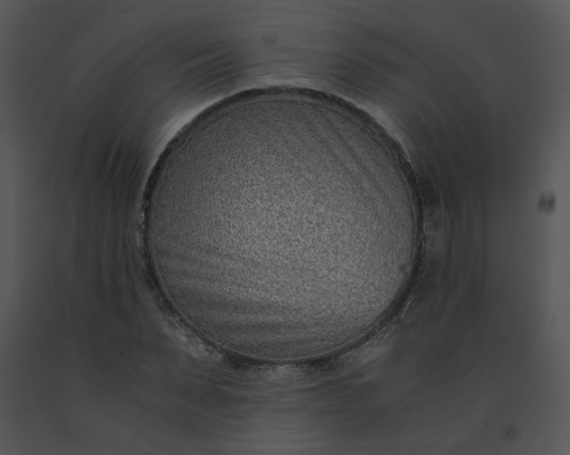 X0000091520879200708311246