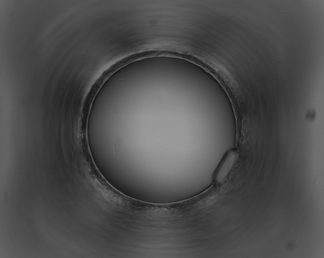 X0000091520880200708311246