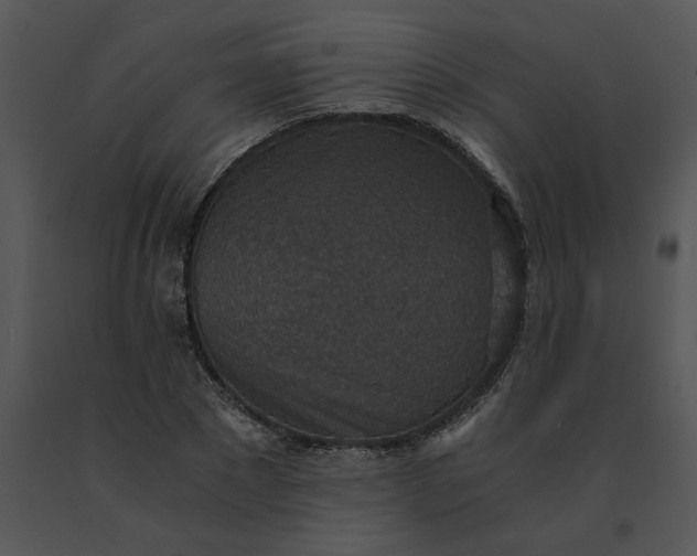 X0000091520881200708311246