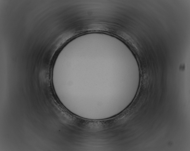 X0000091520882200708311246