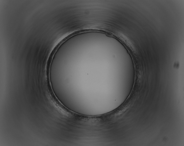 X0000091520884200708311246