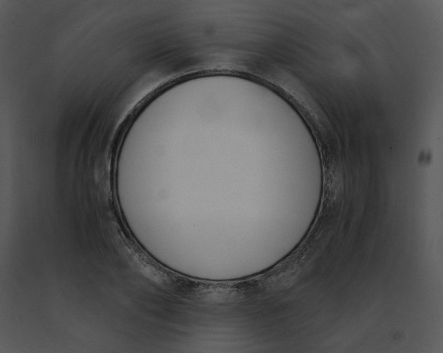 X0000091520886200708311246