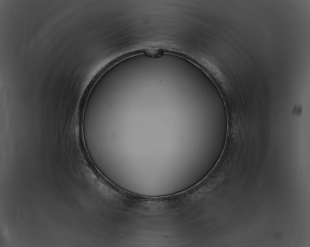 X0000091520888200708311246