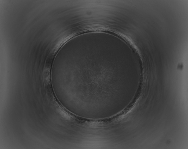 X0000091520889200708311246