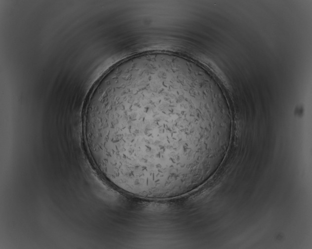 X0000091520890200708311246