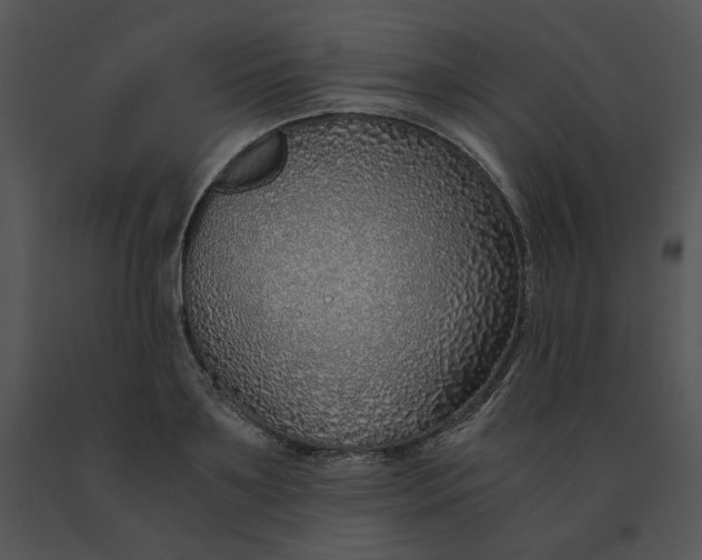 X0000091520891200708311246