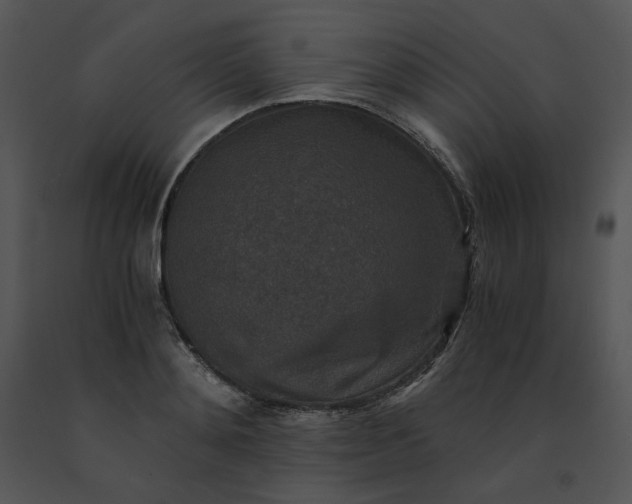 X0000091520892200708311246