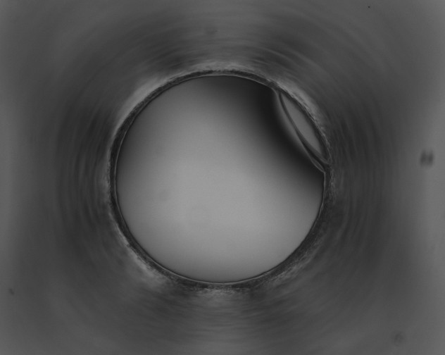 X0000091520894200708311246