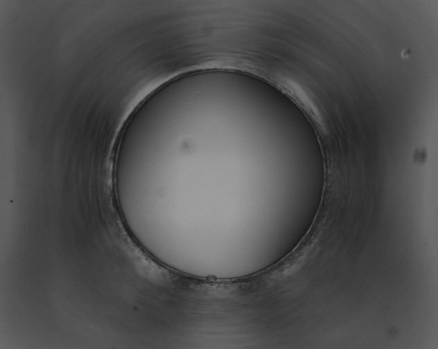 X0000091520900200708311246