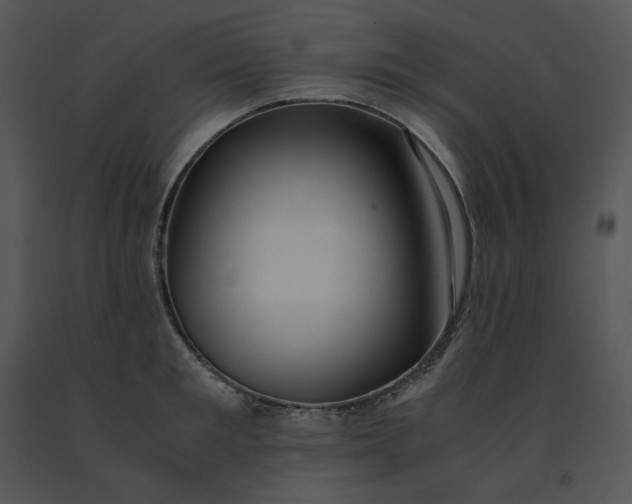 X0000091520901200708311246