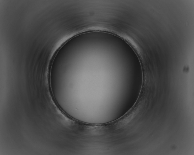 X0000091520902200708311246