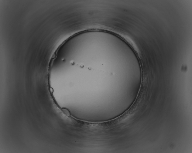 X0000091520903200708311246