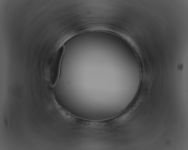 X0000091520905200708311246