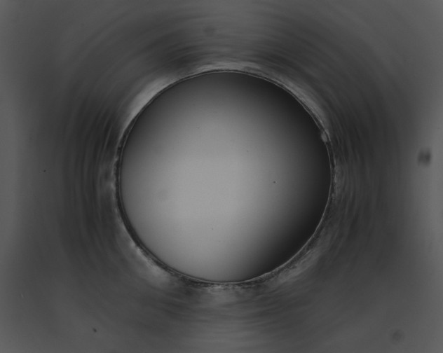 X0000091520906200708311246