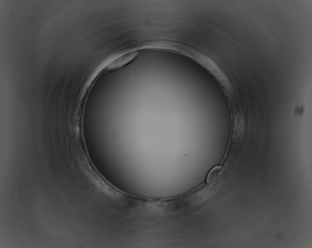 X0000091520908200708311246