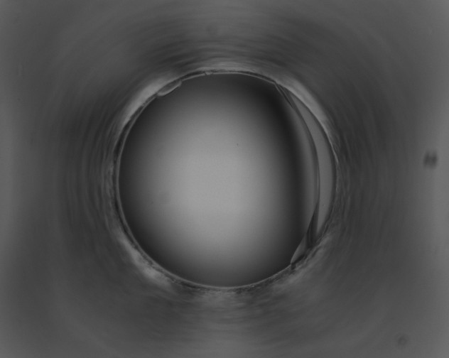 X0000091520909200708311246