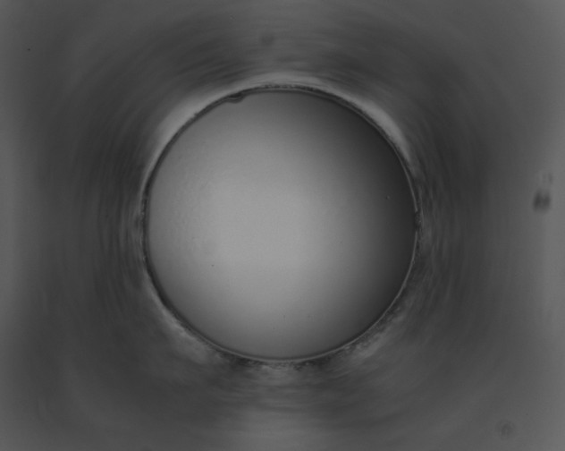 X0000091520911200708311246