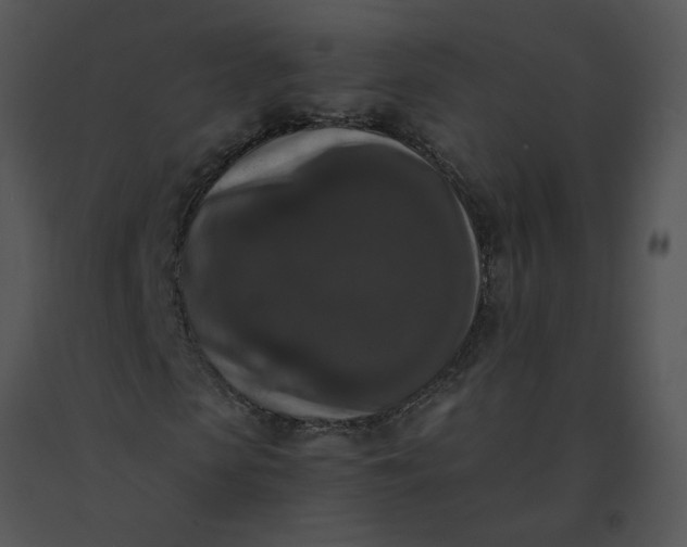 X0000091520913200708311245