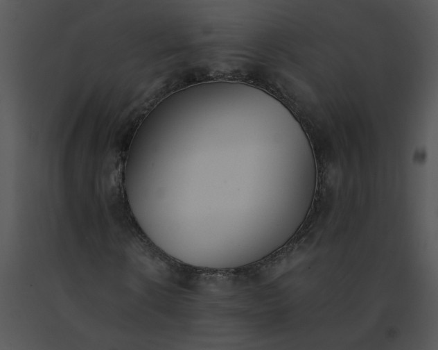 X0000091520914200708311245