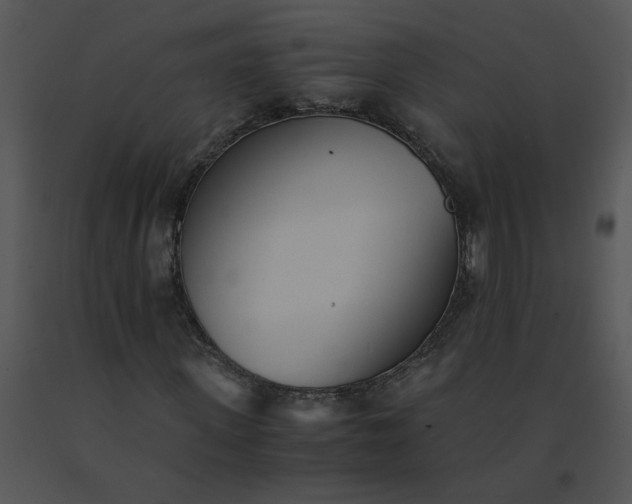 X0000091520915200708311245