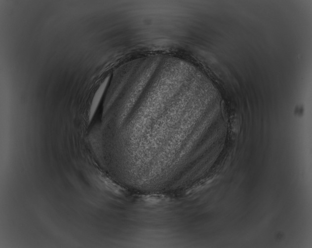 X0000091520916200708311245