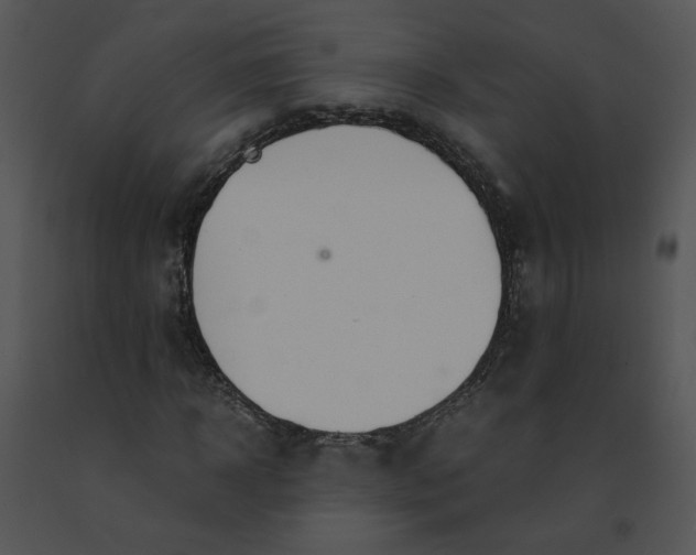 X0000091520918200708311245