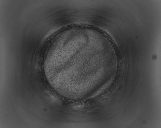 X0000091520919200708311245