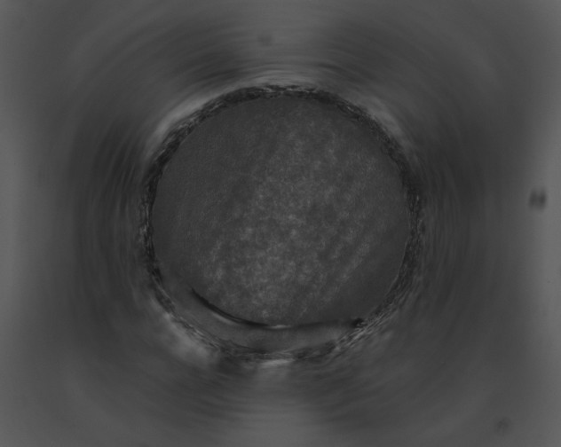 X0000091520920200708311245