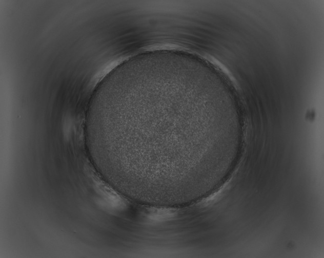 X0000091520921200708311245