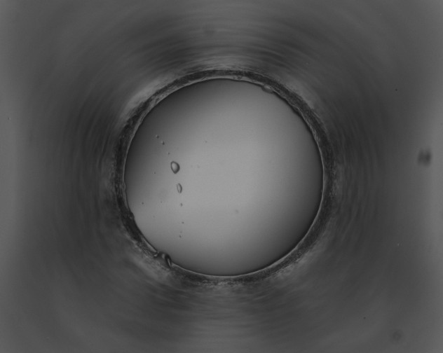 X0000091520922200708311245