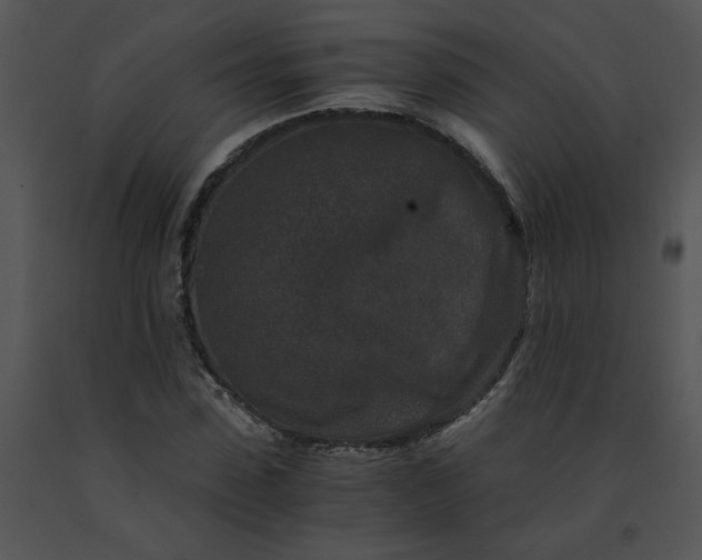 X0000091520923200708311245