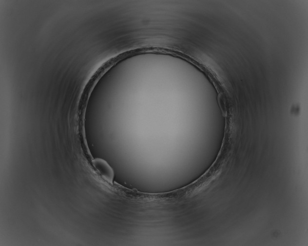 X0000091520924200708311245