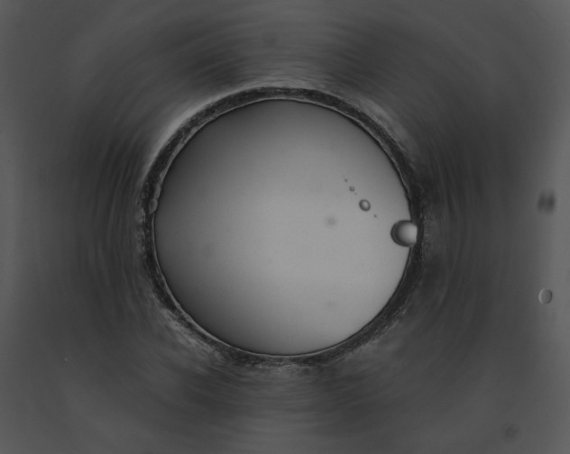 X0000091520926200708311245