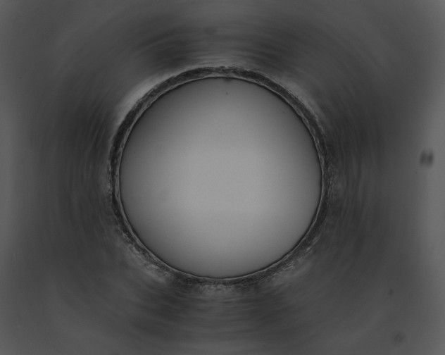 X0000091520927200708311245