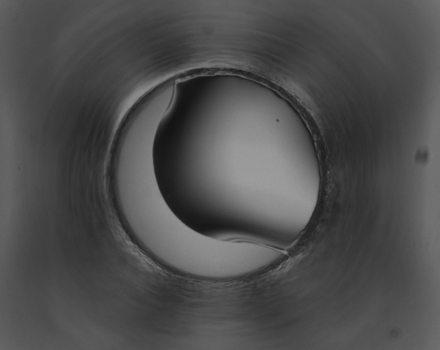 X0000091520928200708311245