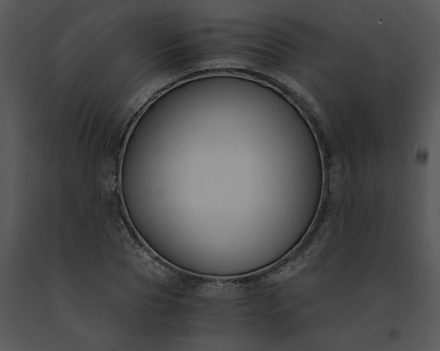 X0000091520929200708311245