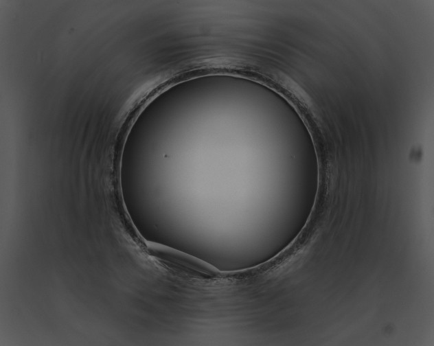 X0000091520930200708311245