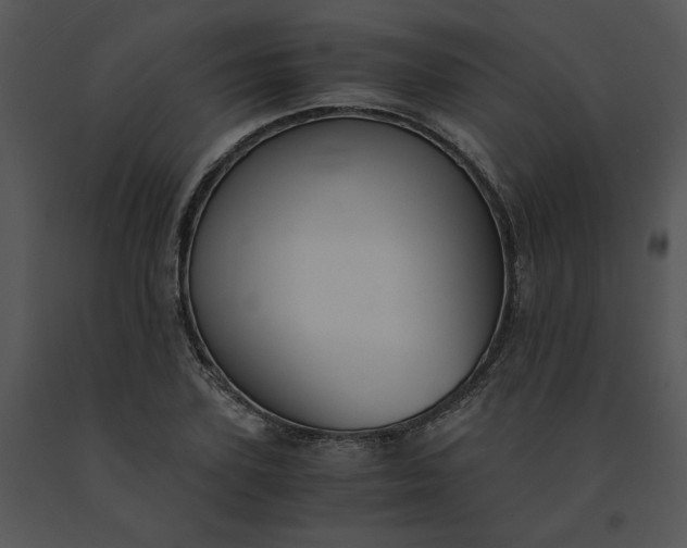 X0000091520931200708311245