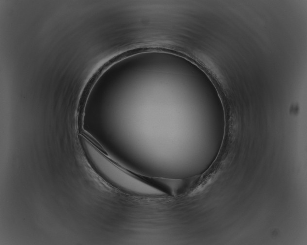 X0000091520932200708311245