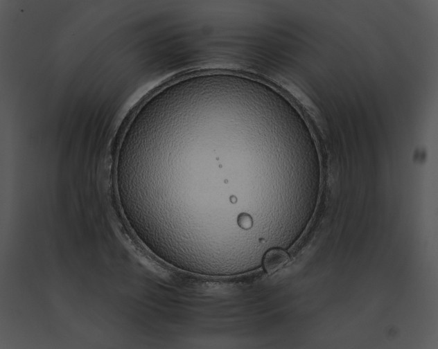 X0000091520933200708311245