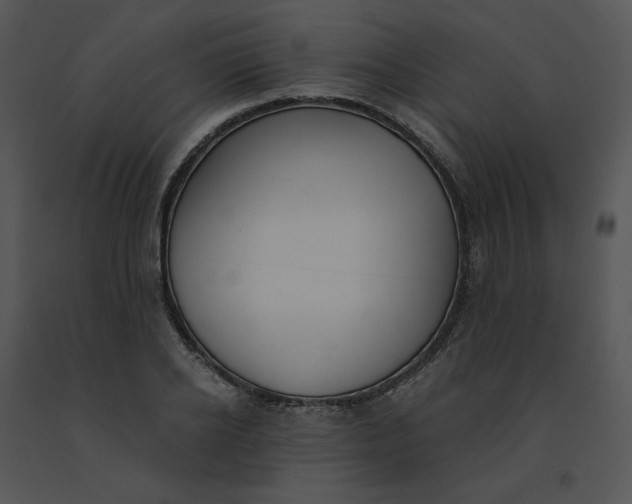 X0000091520934200708311245