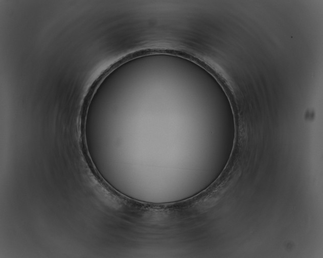 X0000091520935200708311245