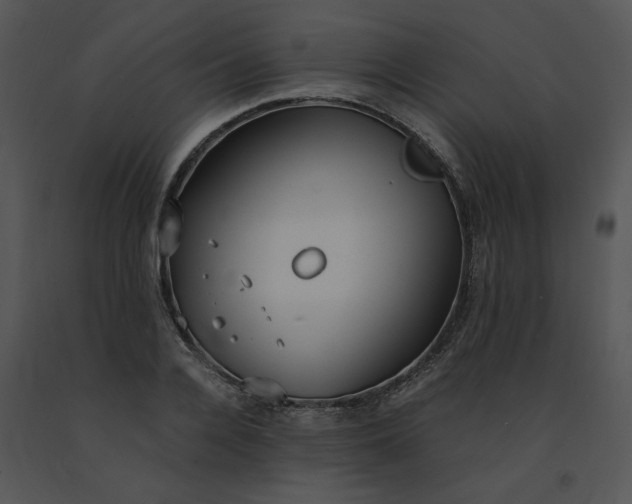 X0000091520936200708311245