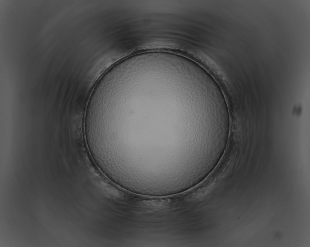 X0000091520937200708311245