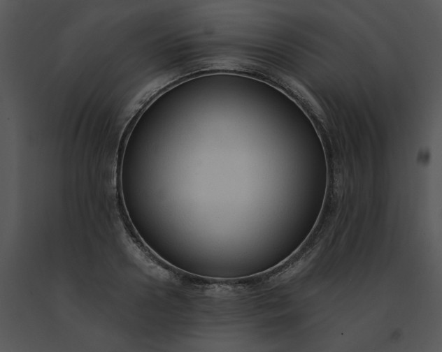 X0000091520938200708311245