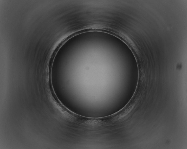 X0000091520939200708311245