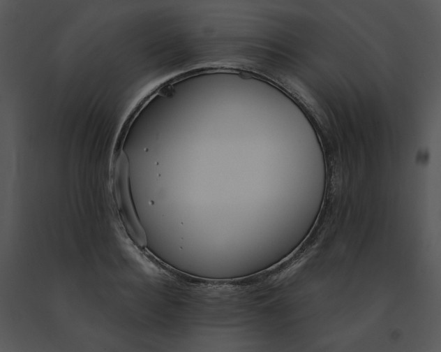 X0000091520940200708311245